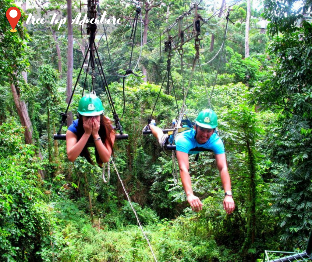Is an exciting adventure park located in the lush forests of Subic Bay, Philippines. The park offers a range of thrilling activities that are sure to get your heart pumping and your adrenaline flowing. #TreeTopAdventureSubic #Philippines #Adventure #ZipLine #CanopyWalk #Nature #Conservation #Sustainability #EcoFriendly #Reforestation #WasteSegregation #RenewableEnergy #Thrills #ExtremeActivities #Rappelling #FreeFall #SupermanRide #TreeDrop #BirdsEyeView #Wildlife #LushVegetation
