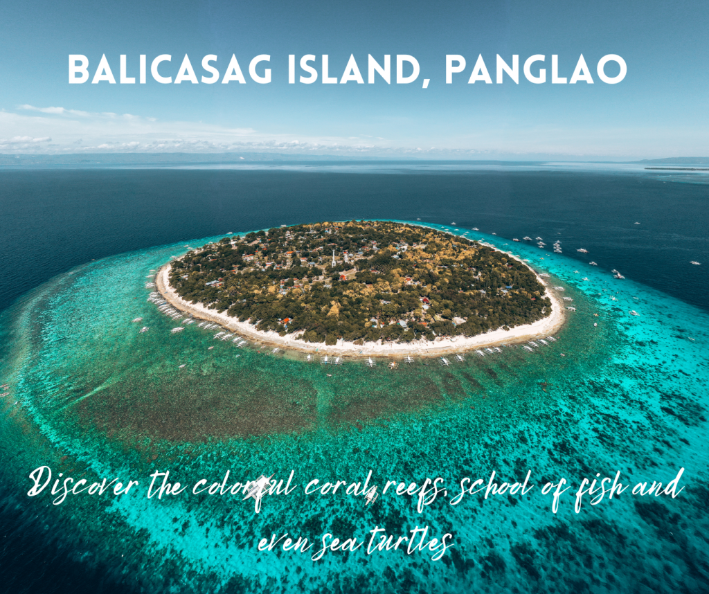 Is also a popular spot for dolphin watching. Tourists can take a boat ride early in the morning to witness the playful dolphins jumping and swimming in their natural habitat. #BalicasagIsland #Bohol #Philippines #snorkeling #diving #islandhopping #dolphinwatching #beaches #marineecosystem #responsibletravel