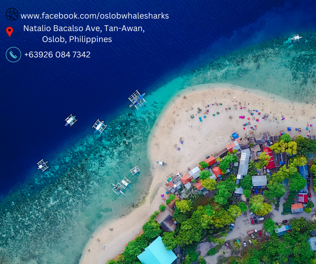 Located in the southern part of Cebu City, Oslob has become a popular destination for travelers seeking a unique and unforgettable experience - swimming with whale sharks. The whale shark, also known as the "Butanding" in the Philippines, is the largest fish in the world, and Oslob is one of the few places where visitors can get up close and personal with these gentle giants. #OslobWhaleSharkWatching #Butanding #CebuCity #Philippines #SwimmingWithWhaleSharks #TumalogFalls #NatureLovers #BucketListExperience #TravelPH