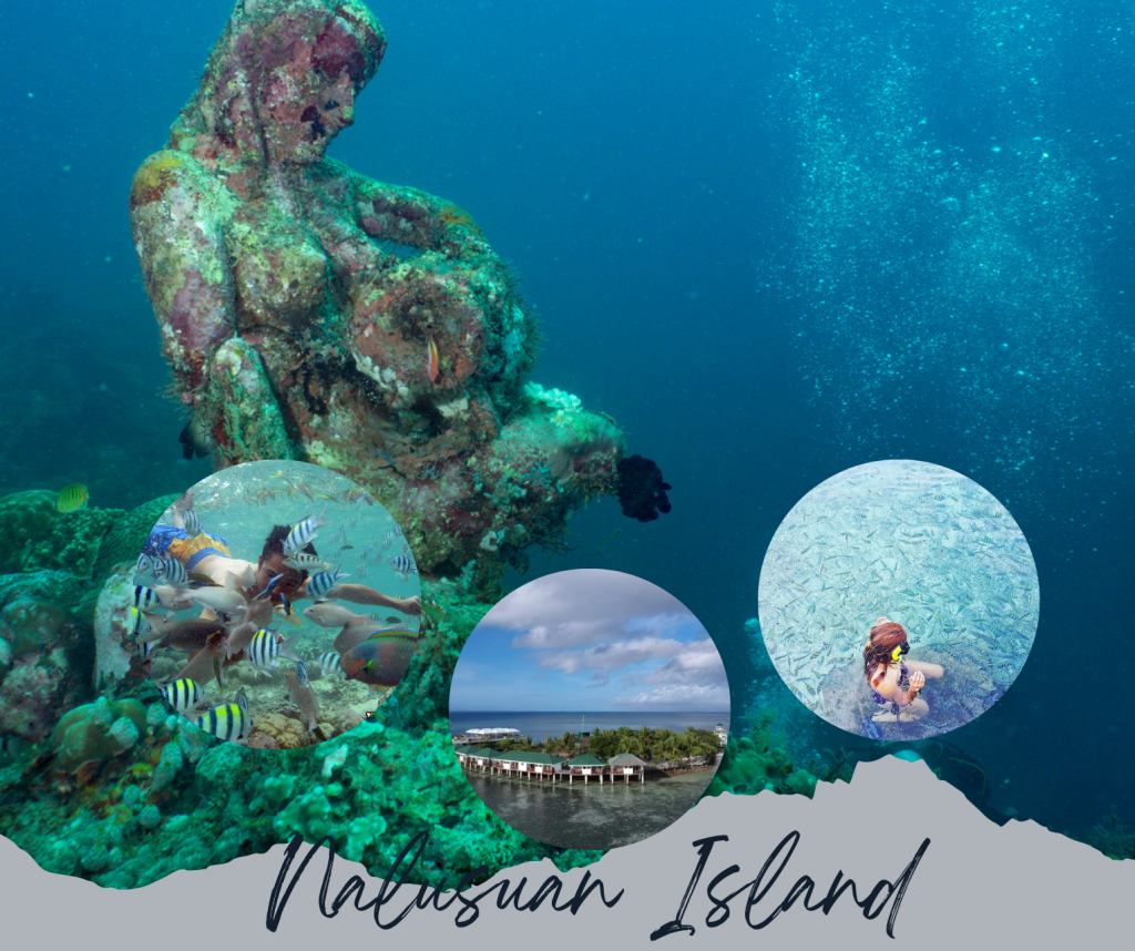 Is a small, idyllic island located off the coast of Mactan Island in Cebu City, Philippines. It is a hidden gem in Cebu's island paradise, known for its pristine beaches, crystal-clear waters, and abundant marine life. #NalusuanIsland #CebuCity #Philippines #IslandParadise #Snorkeling #Diving #BeachLife #TravelPH #BucketList
